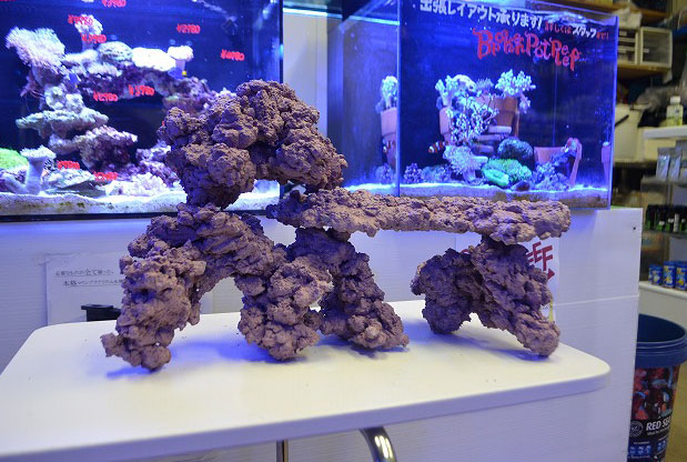 レイアウトするならマメライブロックがオススメ！ | 生麦海水魚センター