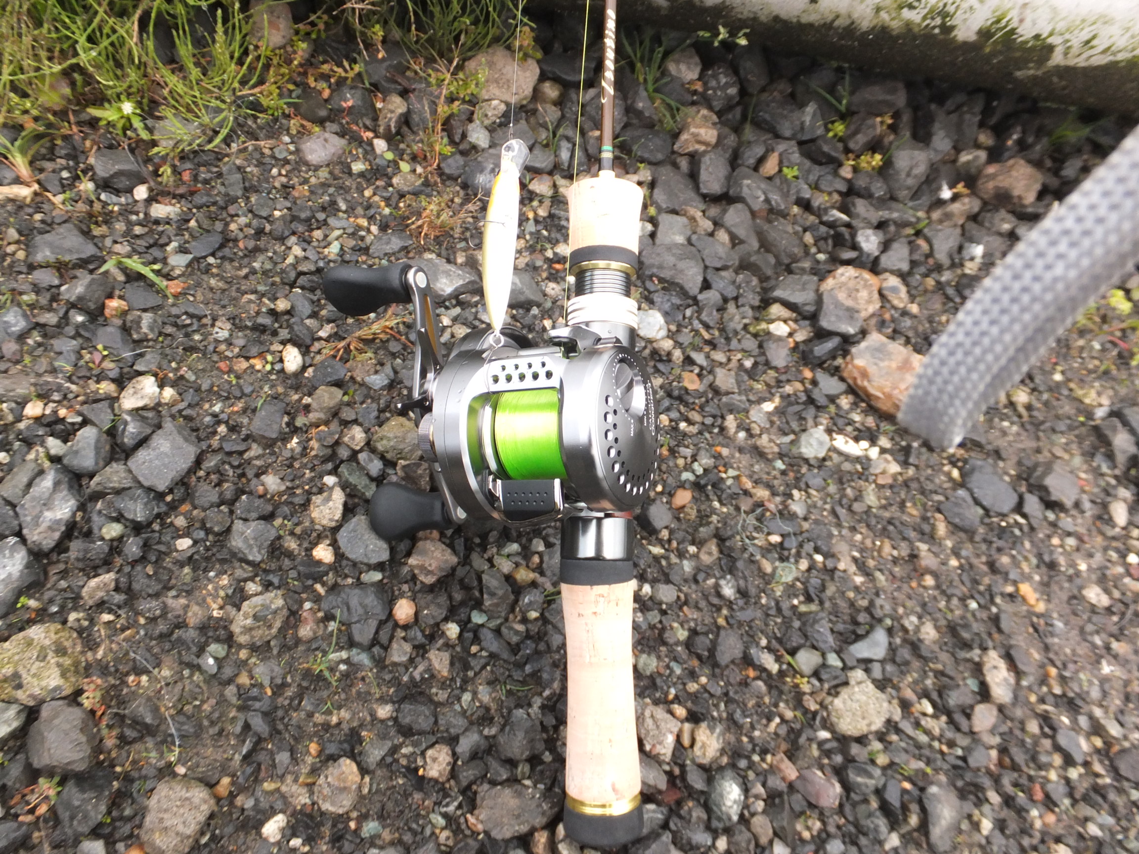 初心者ですが渓流ベイトフィネスで始めます。 | なきぶろぐ