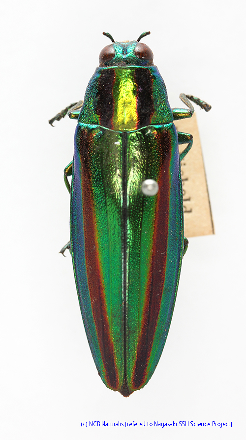 2015032634.JPG