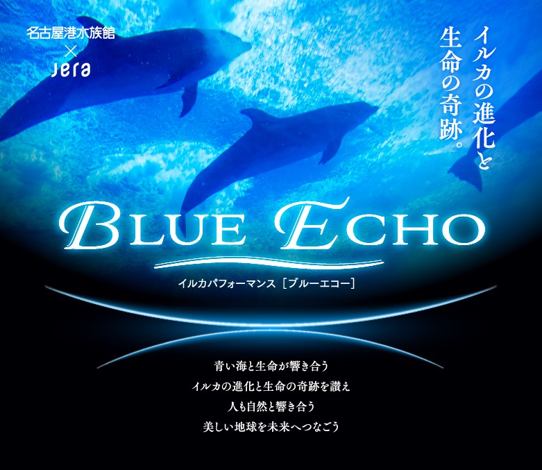 イルカ担当より、二つの重大告知っ♪】｜研究・教育｜名古屋港水族館