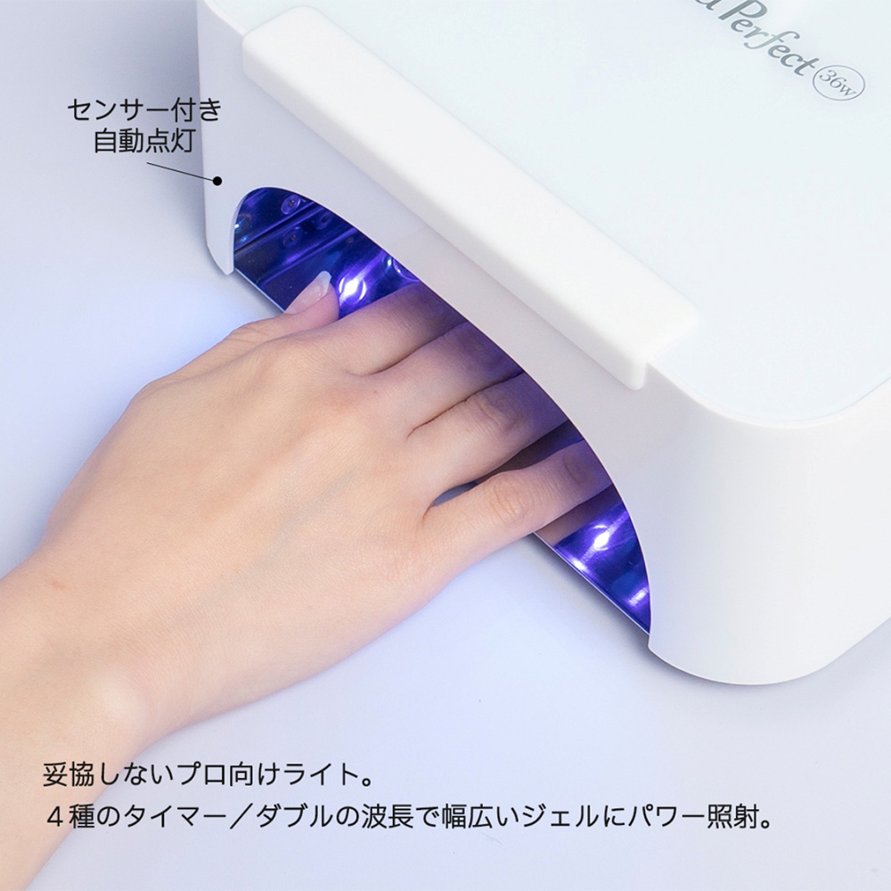 PREGEL レクシアパーフェクト 36W マルチLEDライト / NESオンライン