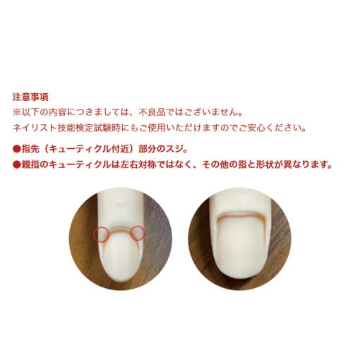 ▽STモデルハンド 両手セット / NESオンラインショップ