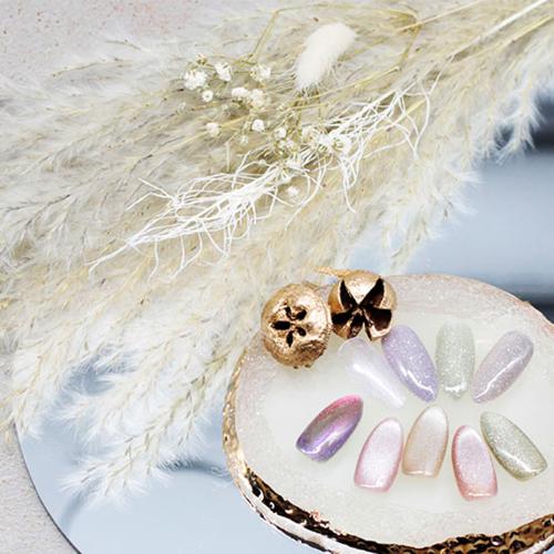 M・GEL マグネットネイル 5g Z518 / NESオンラインショップ