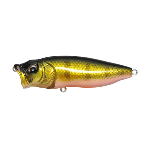 Megabass PopMax Popper | Natural Sports — Natural Sports - The