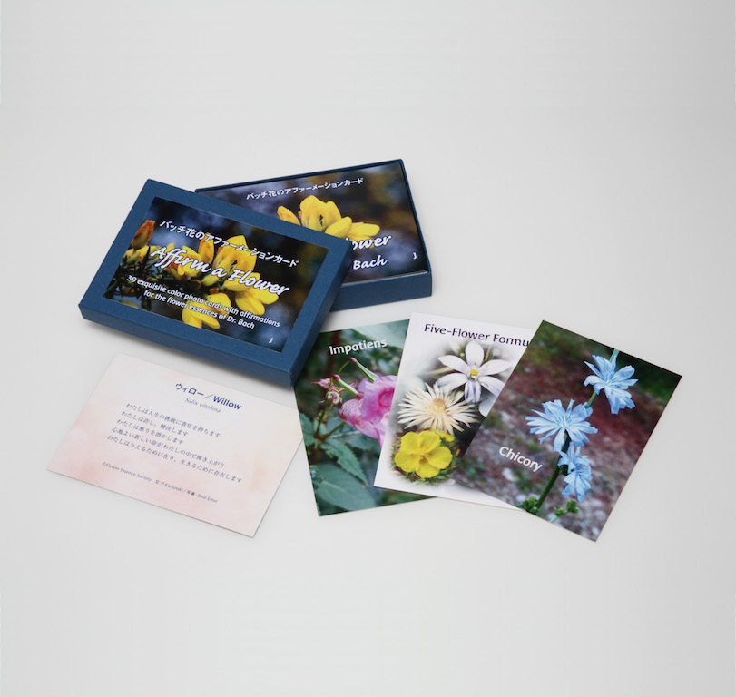 フラワーエッセンスフルセット38本 Bach レスキューシリーズ2本合計