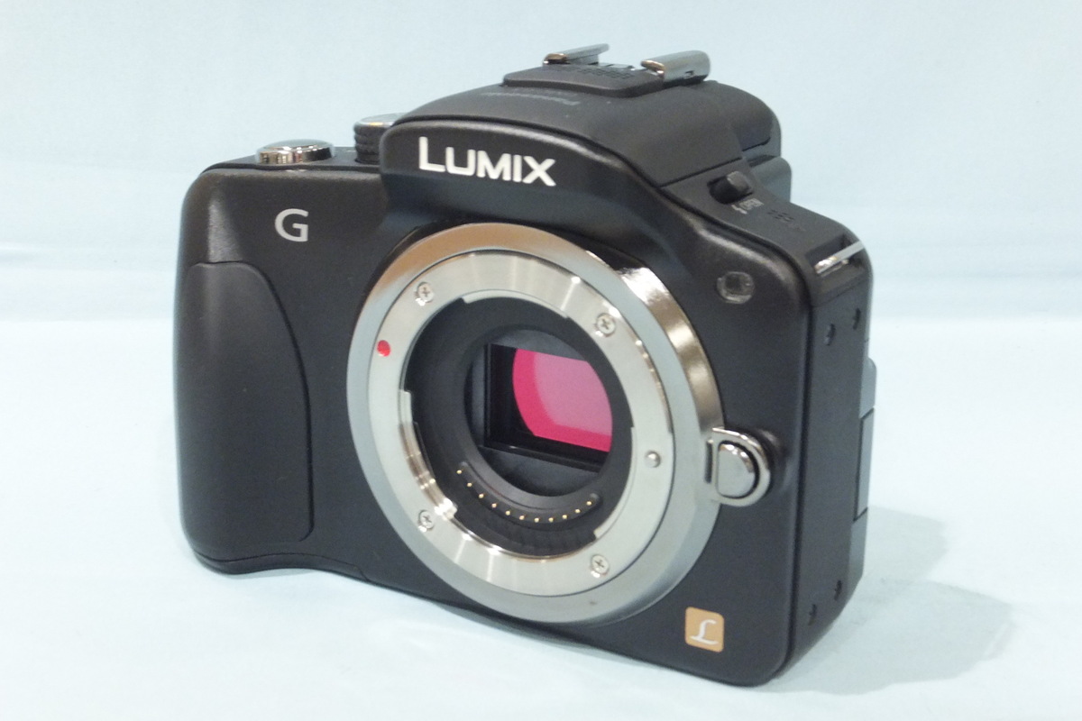 ⭐️セール中！⭐️Panasonic LUMIX DMC-G3W ボディ パナソニック