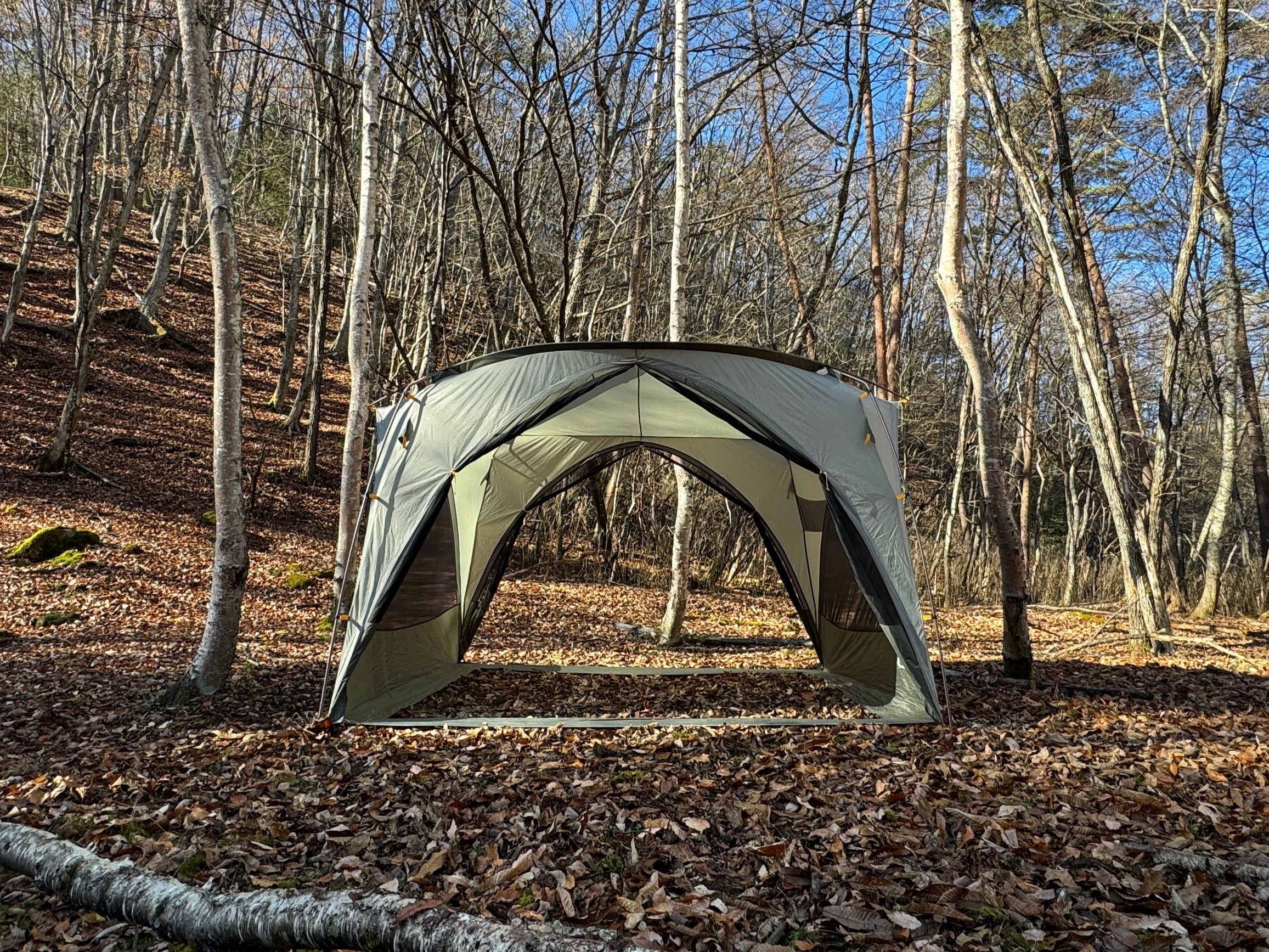 Victory™ Screenhouse – NEMO Equipment Japan