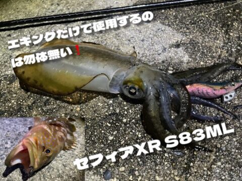 セフィア xr s83ml バッド側のみ セフィアXR S83ML バット側のみ