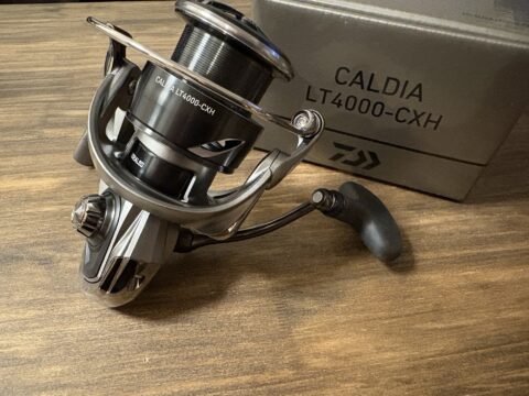 インプレ】ダイワ 25カルディア LT4000-CXH 剛性/パワーも