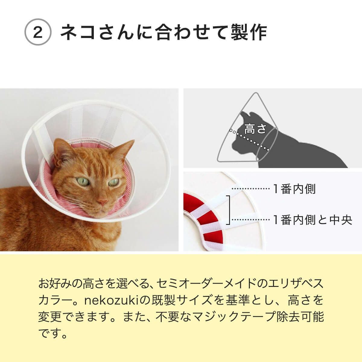 高さオーダー可。獣医推薦 エリザベスカラー・透明ハード