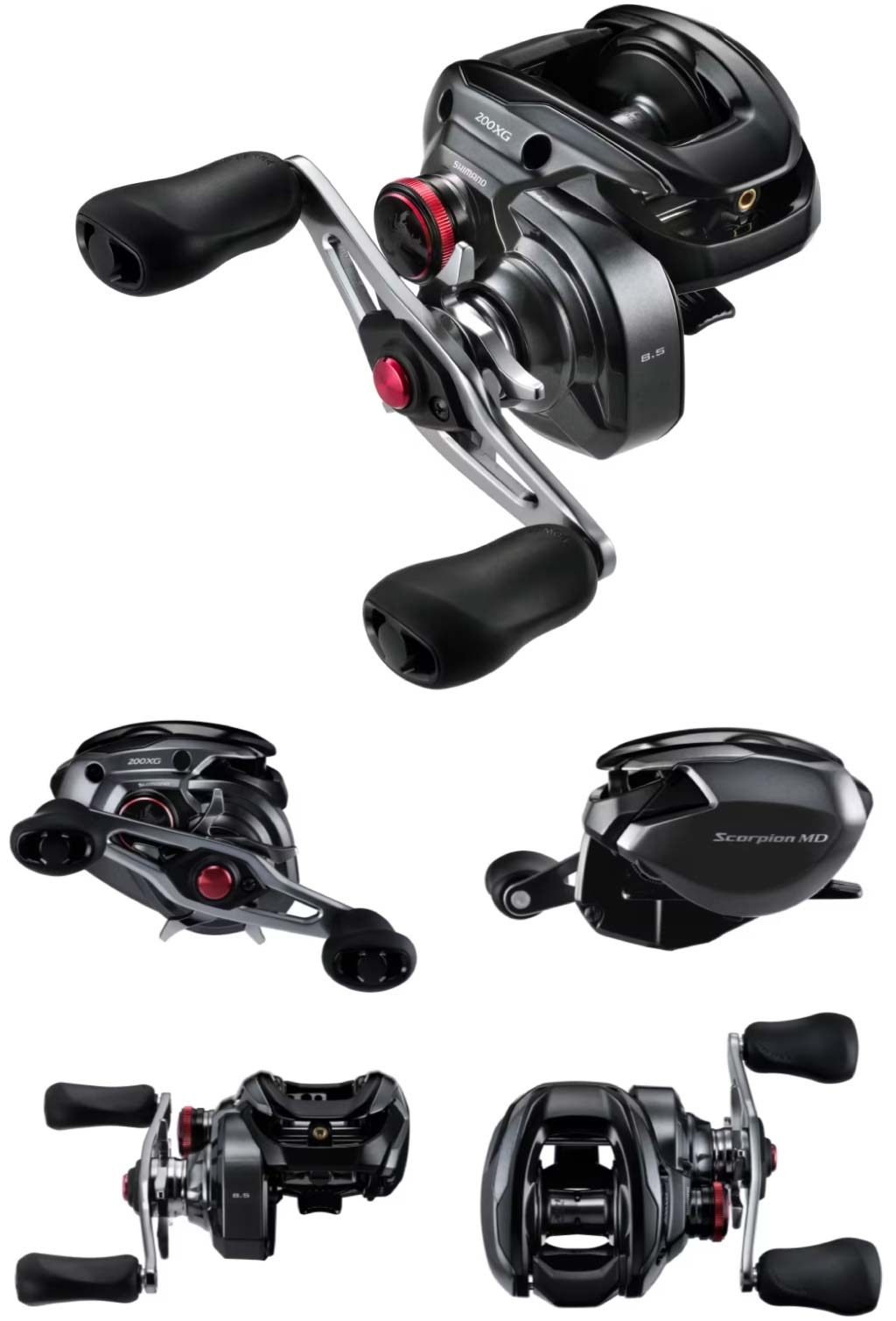 シマノ新製品「24スコーピオンMD」200サイズが登場！ | ネスブログ