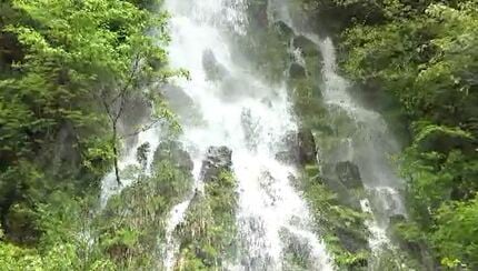 8日に迫った「幻の滝」2025年は出現せず 1年に1度新緑の岩肌を