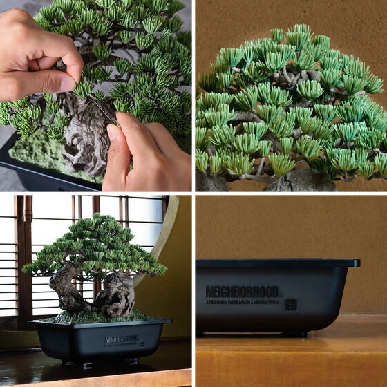 盆栽がプラモデルに！？「SRL X BANDAI SPIRITS . BONSAI MODEL KIT