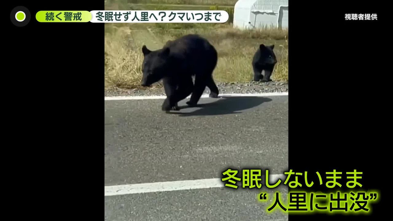 雪かき中の男性襲われ…冬本番もクマ出没 雪に「メリット」と「危険性