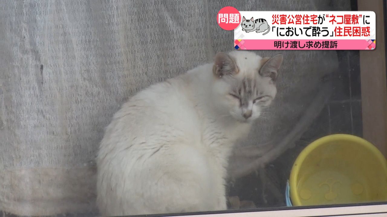災害住宅が“ネコ屋敷”で荒れ放題…ナゼ？（2018年12月27日掲載