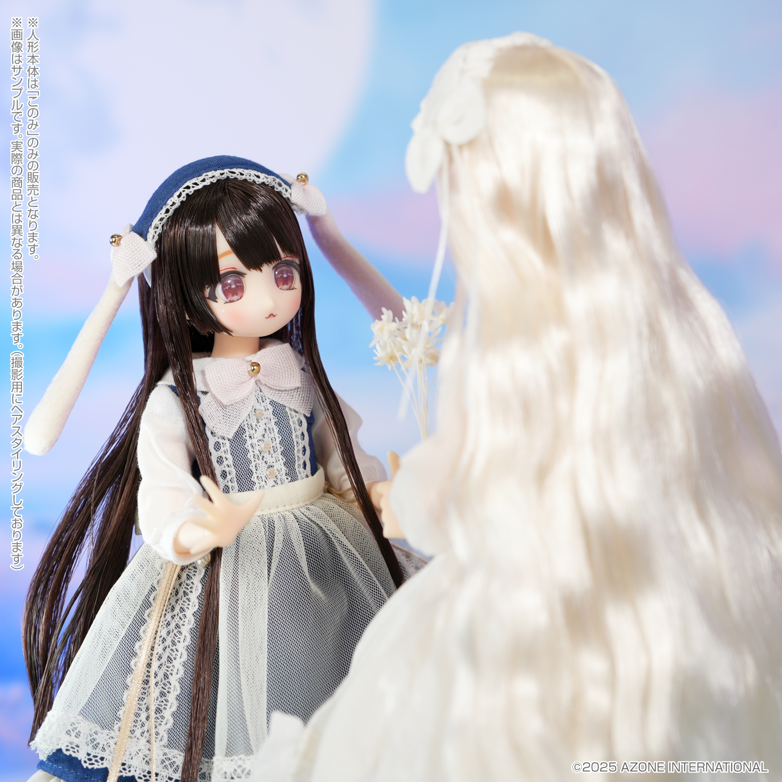 からふるDreamin'より新キャラクター「このみ」のご案内☆ – アゾン