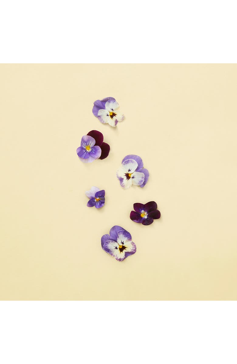 Gucci The Alchemist's Garden The Virgin Violet Eau de Parfum