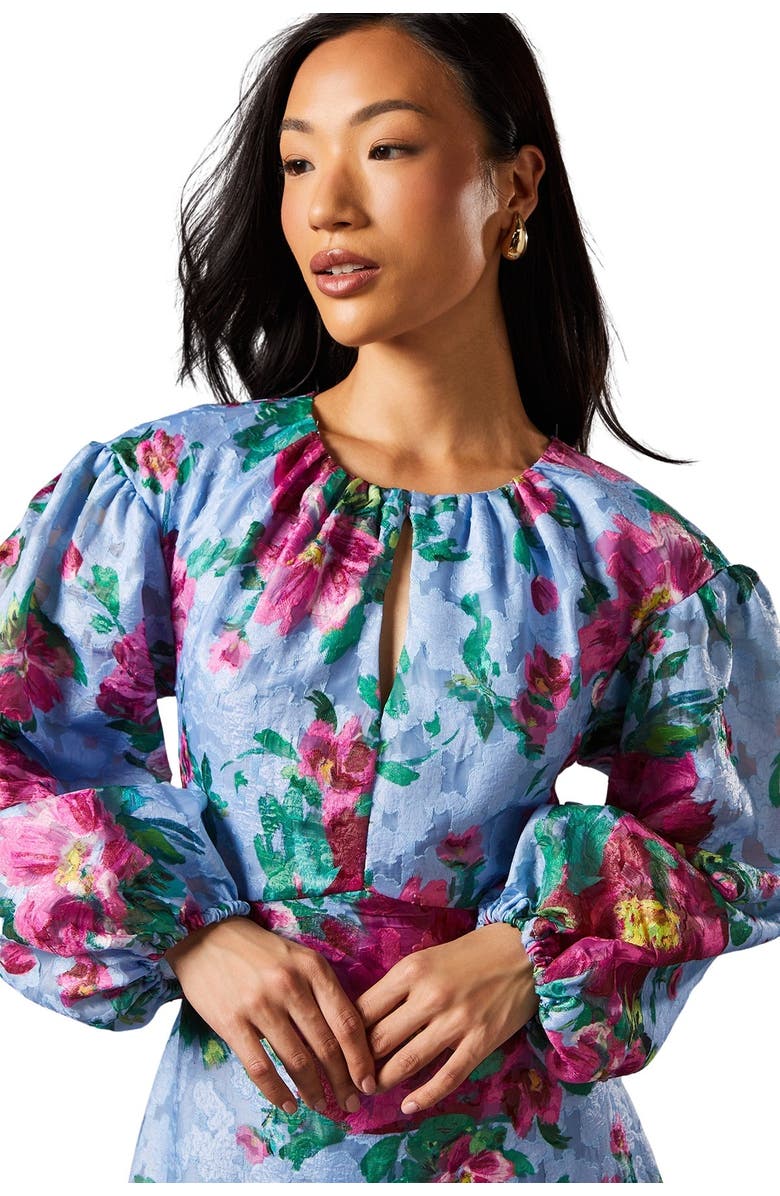 Coast Printed Jacquard Volume Dress | Nordstrom