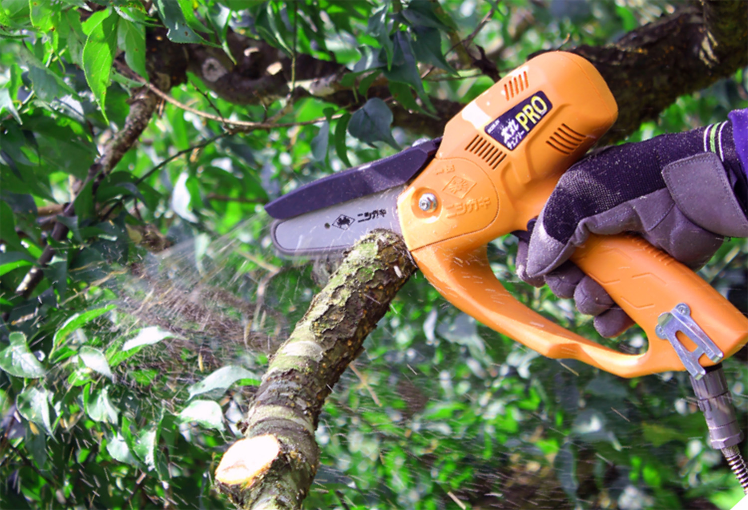 美虎杢】オールドチェロ 4/4サイズ フルサイズ 125cm モダンチェロ 美