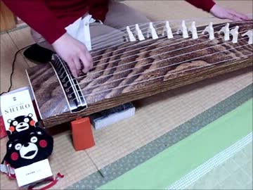 Manonさんのアメリカお箏ライフ！ │ 和楽器音楽トピックス：ほうがくのわ