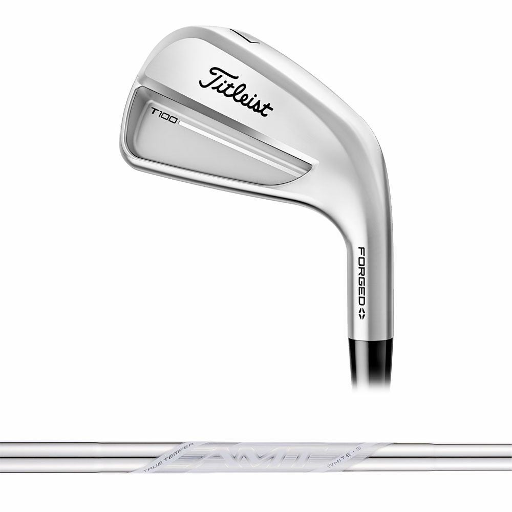 タイトリスト Titleist T100 アイアン(6本セット) N.S.PRO MODUS3 TOUR