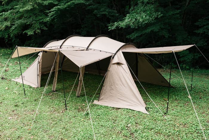 人気のサバティカル・アルニカの詳細！ | ノマドキャンプ