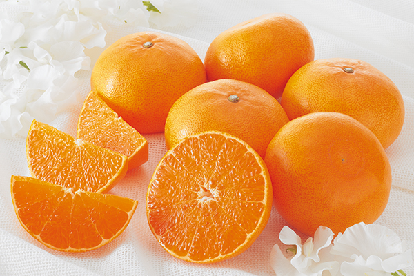 露地せとか約3.5kg-贈答用 | のま果樹園