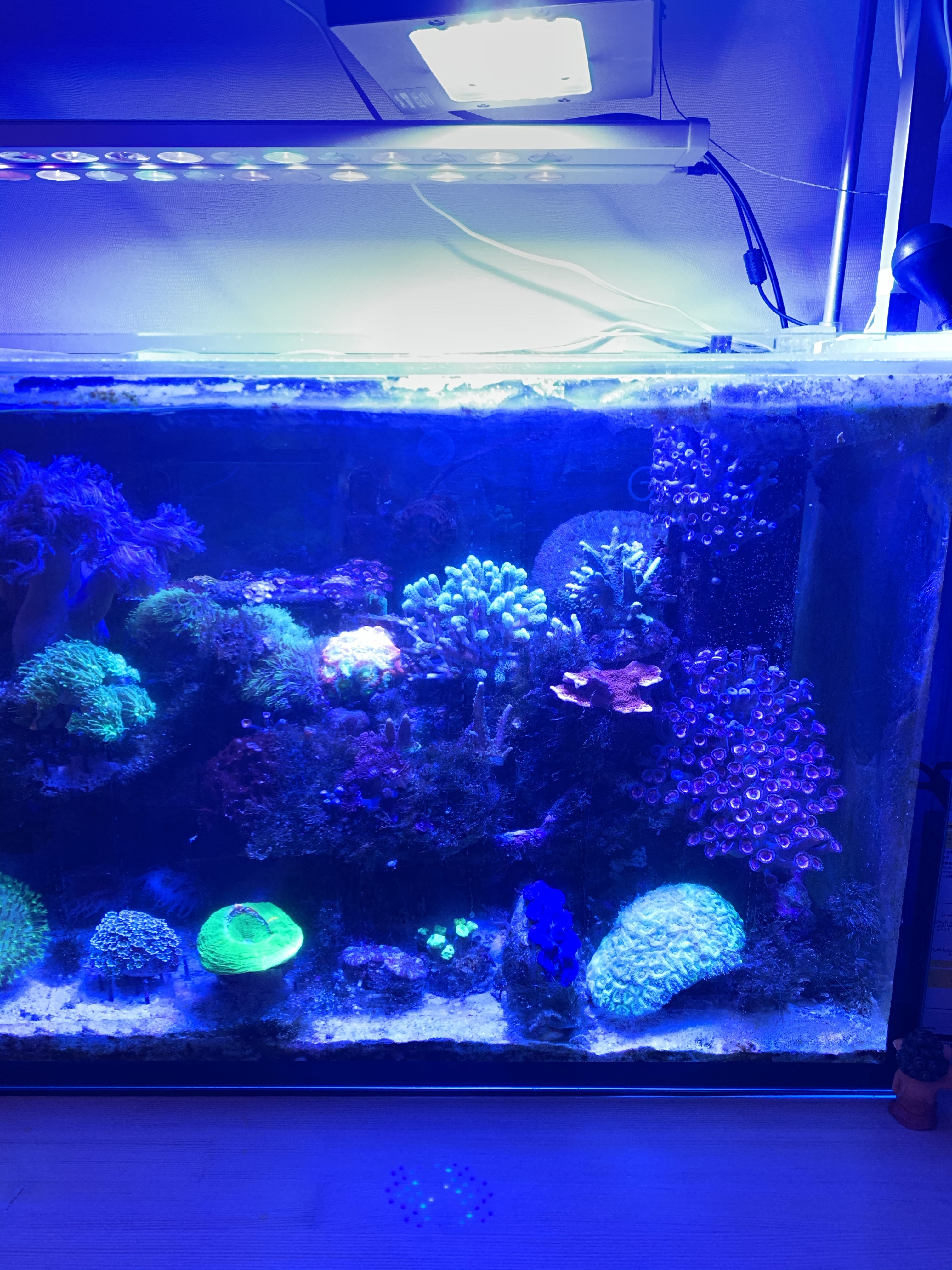 海水水槽用ライト（ラディオンG5購入）開封とメーカー市販のアーム無し