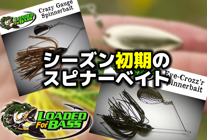 シーズン初期のスピナーベイトのバス釣り | バス釣りを学ぼう！野尻湖