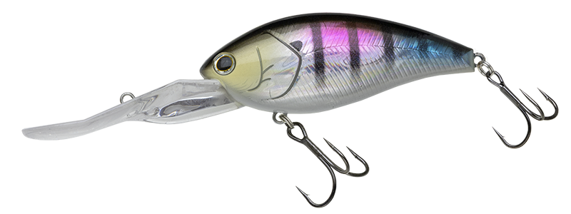 SHOT OVER 5.5 BIG | BASS | NORIES