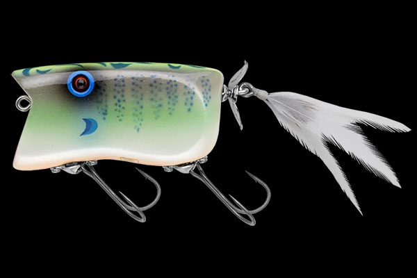 GILL TOP | BASS | NORIES