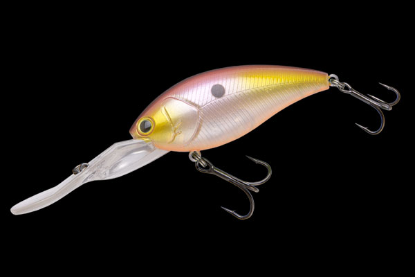 PROP FUKA | BASS | NORIES