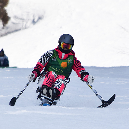 チェアスキー | 障がい者スキースクール・ネージュ
