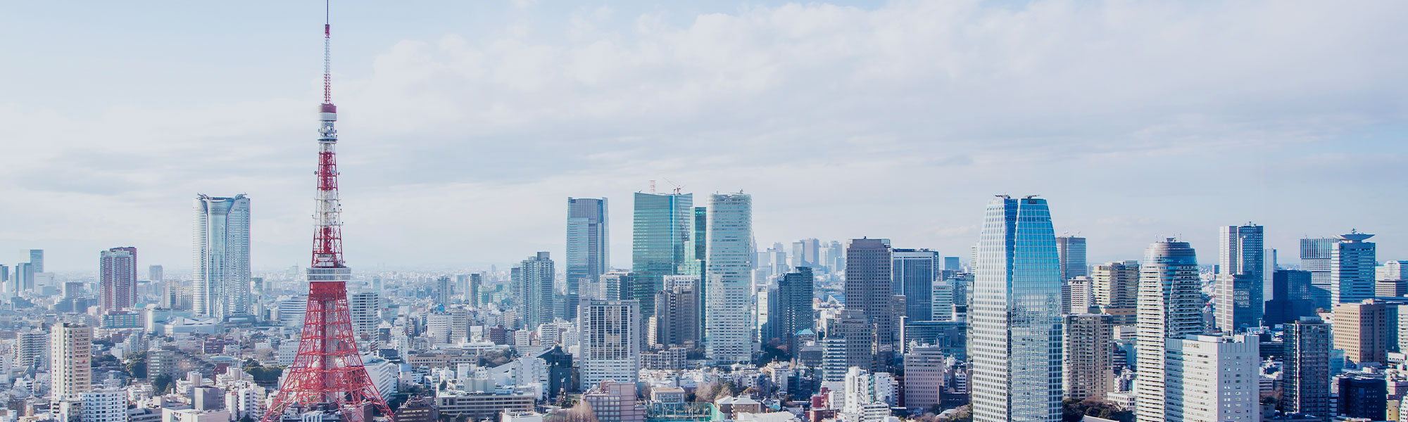 コンプライアンス推進機構 (OCOD)