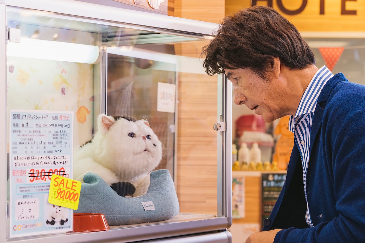 実写ドラマ化「おじさまと猫」テーマ曲決定にゃ！OPは吉澤嘉代子、EDは