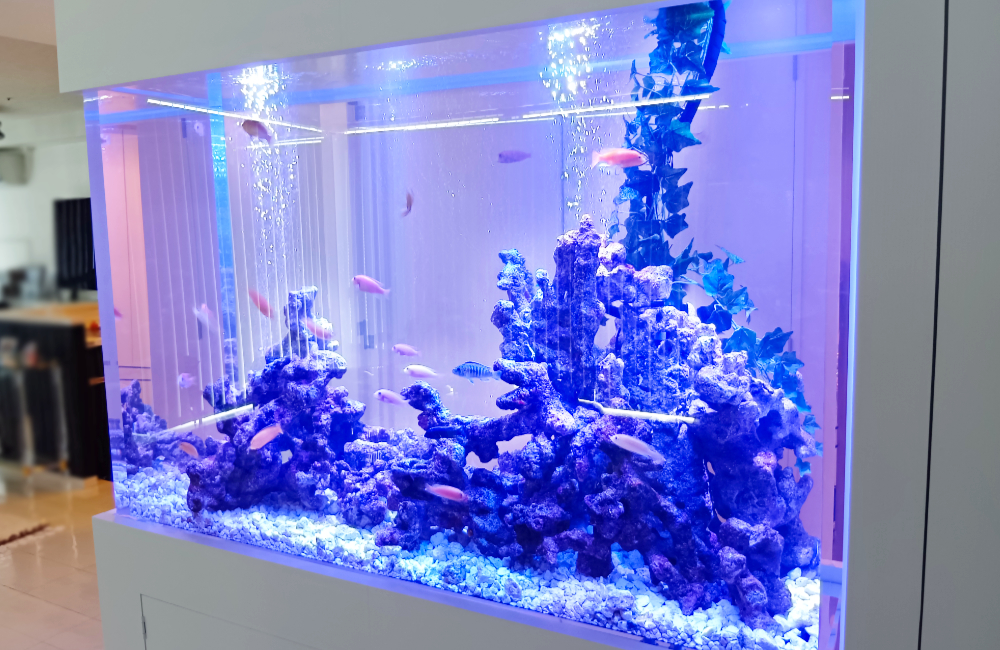 特集大型水槽｜大阪アクアガーデン