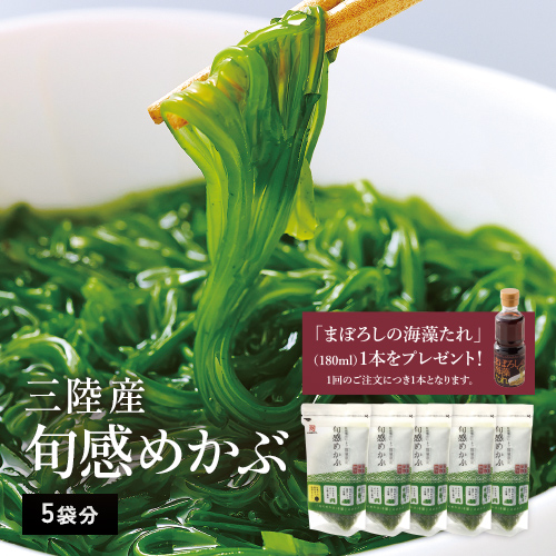 DM680】旬 海藻のご案内 | OKAGESAMA（おかげさま）-カネリョウ海藻