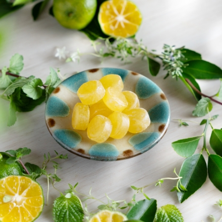 シークヮーサー ハーブ キャンディ 缶タイプ＆袋タイプ | Okinawa Herb