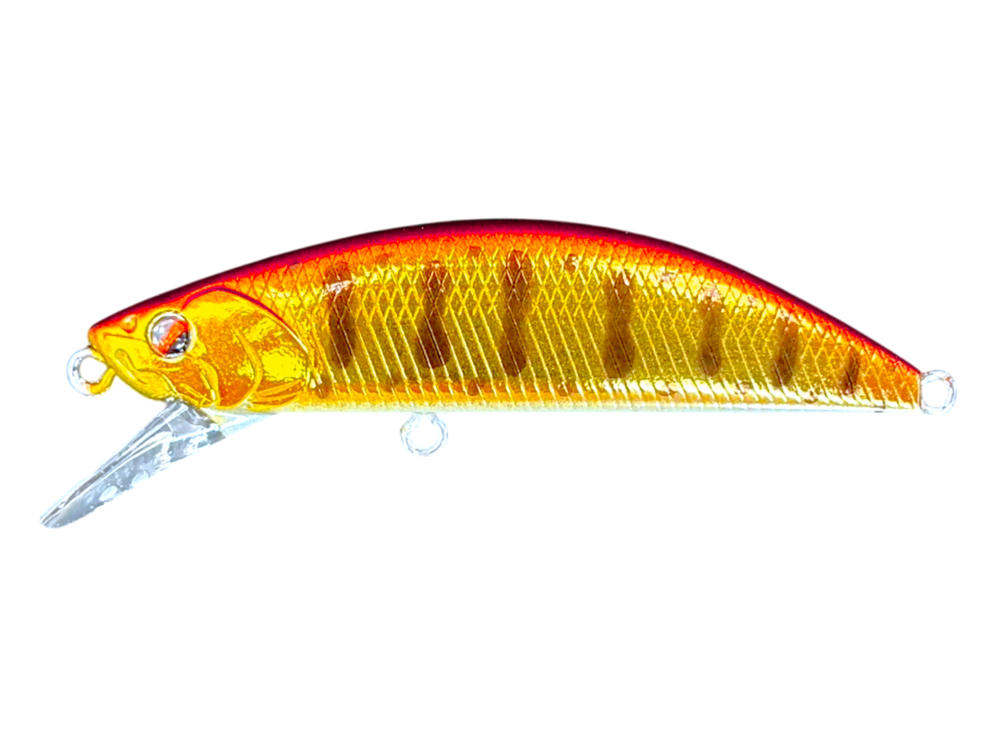 12.png?v=1758237859&width=1946