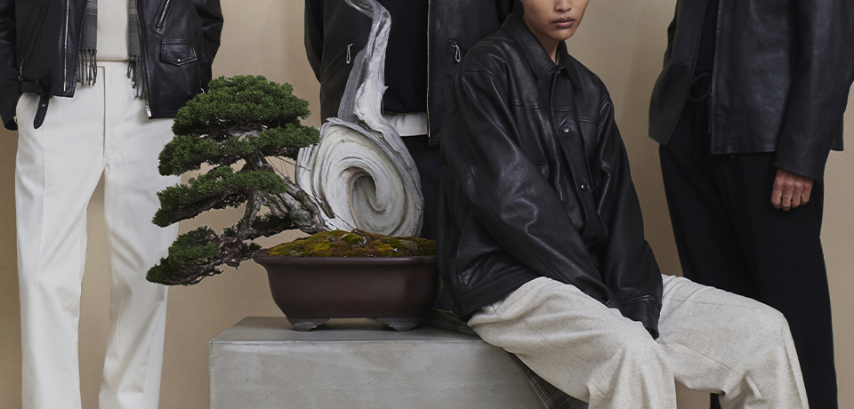 collection | OLD JOE BRAND