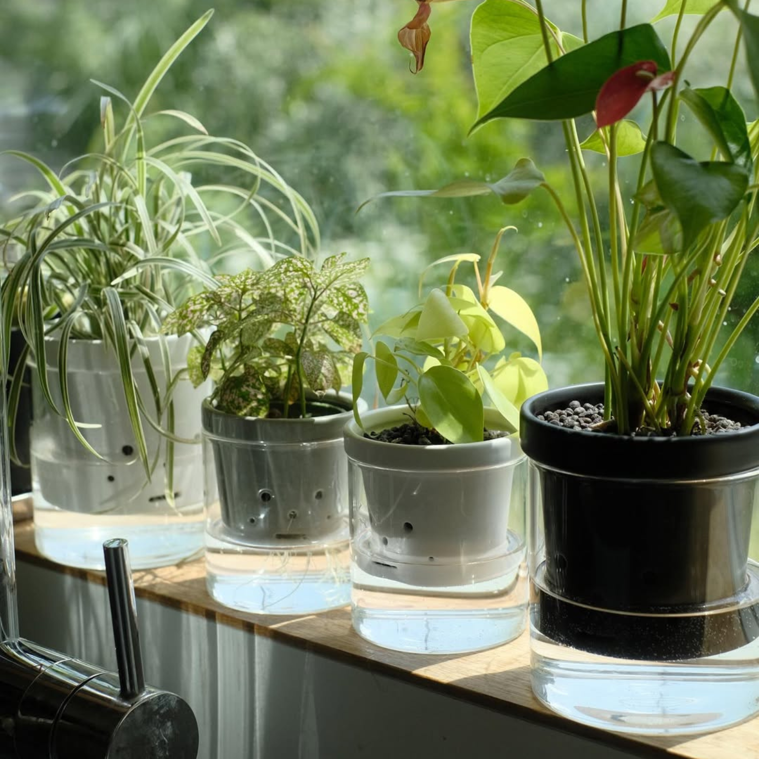 水耕栽培 ハイドロカルチャー専用鉢 食虫植物の鉢｜陶器 おしゃれな鉢
