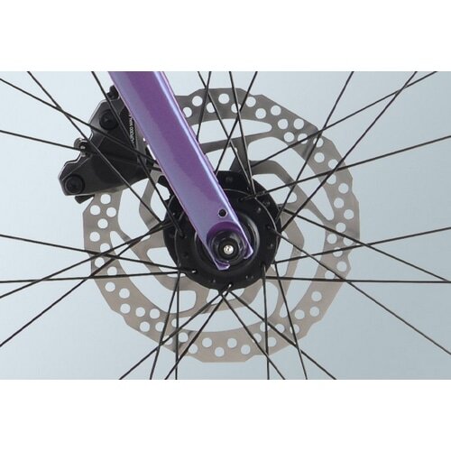 GIANT ( ジャイアント ) クロスバイク ESCAPE RX 1 DISC ( エスケープ