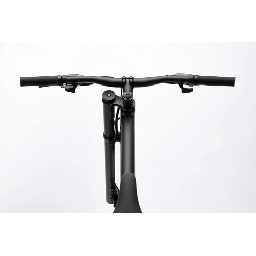 CANNONDALE ( キャノンデール ) クロスバイク Bad Boy 2 バッドボーイ