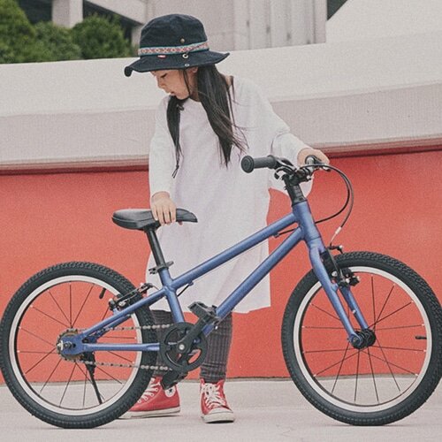 RITEWAY ( ライトウェイ ) キッズバイク ZIT 18 ( ジット 18 ) マット