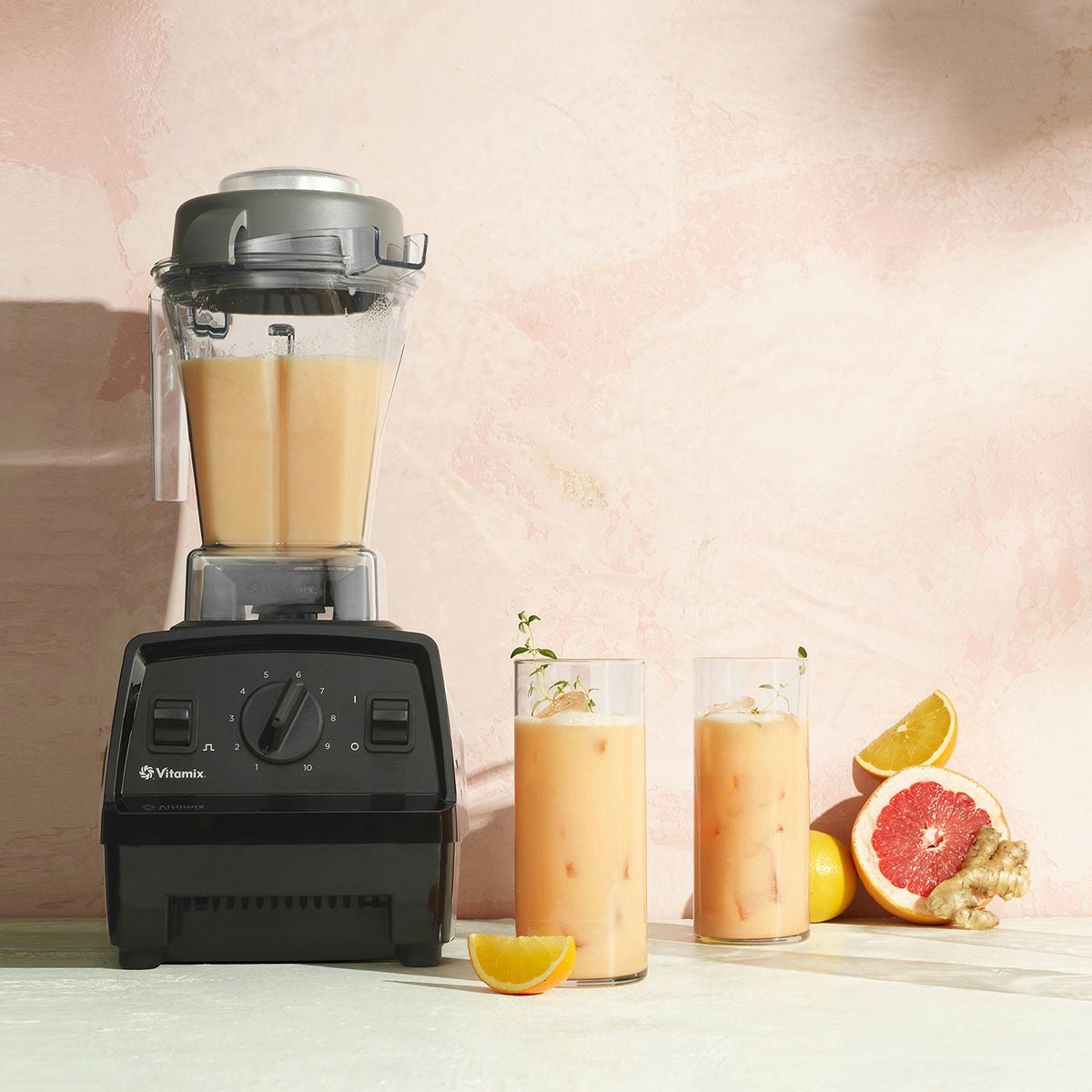 公式】バイタミックス Vitamix ミキサー E310日本正規輸入代理店