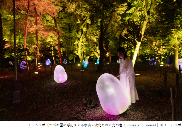 チームラボ ボタニカルガーデン 大阪 | イベント | OSAKA-INFO
