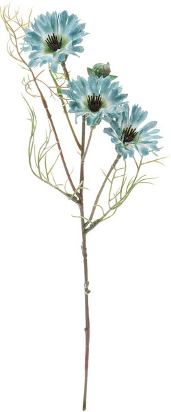 ﾊﾟｾﾘ: クイックオーダーでのみ販売 ｜ YDMオンラインストア ｜ 横浜