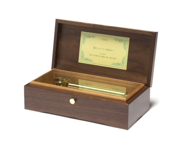 君をのせて(天空の城ラピュタより) 久石譲 井上あずみ【MM525K+KF8