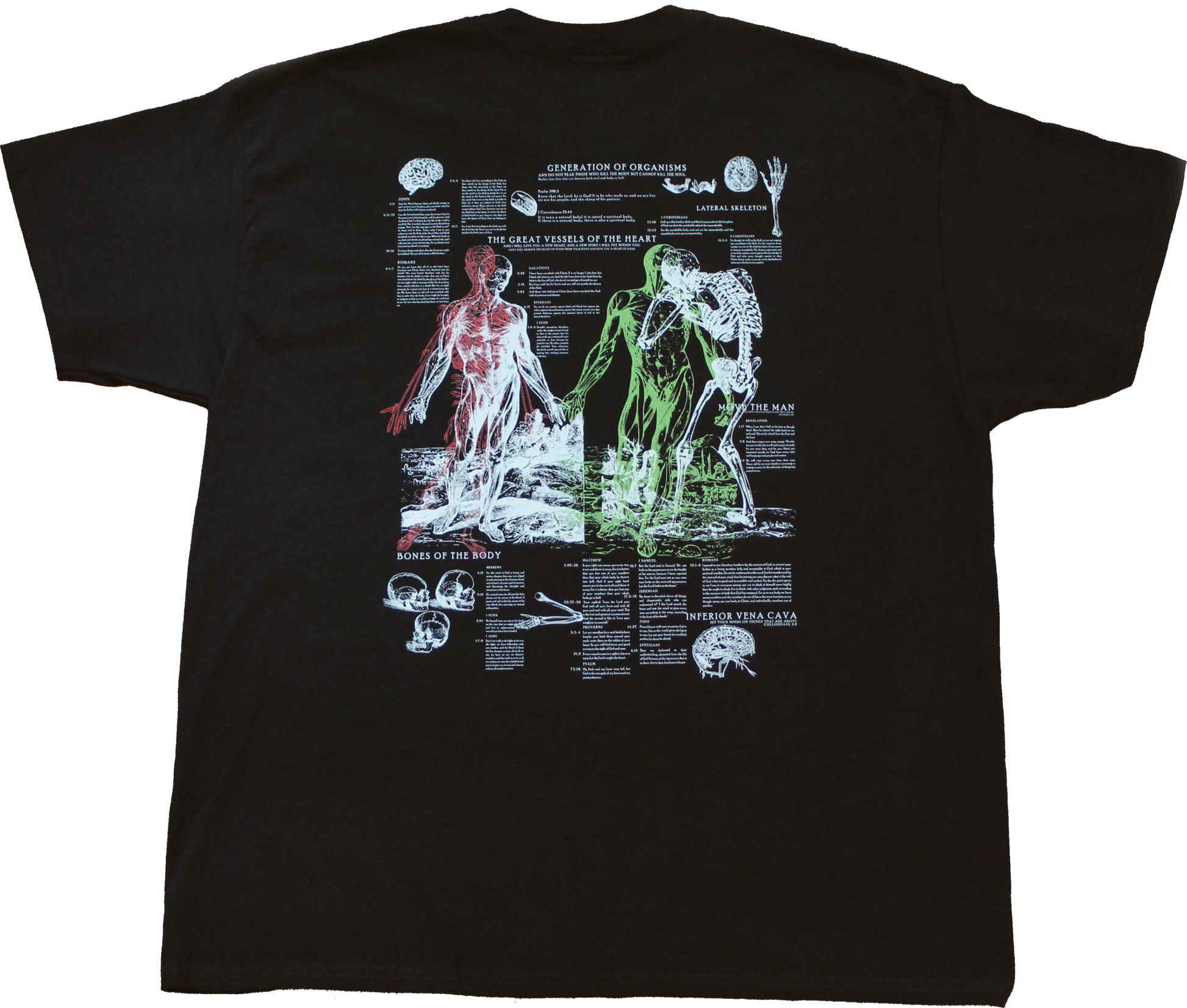 original-sin-usa-anatomy-tee-