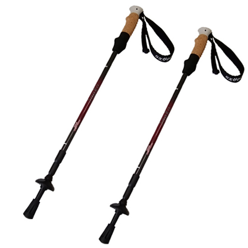 MSR TWING トレッキングポール2本付き MSR TWING トレッキングポール2